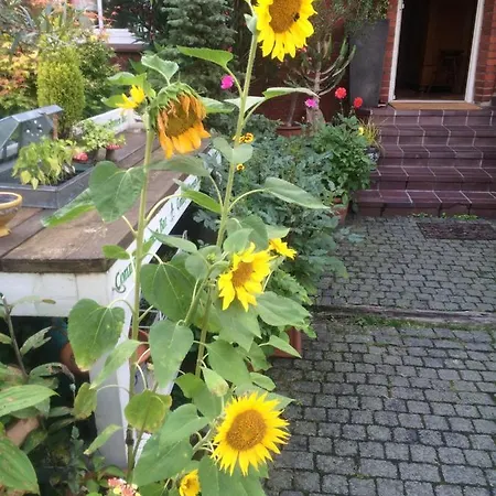 Haus Rothenstein, Ruhige Fewo, Ca. 10 Min. Zu Messe Und Flughafen Appartamento