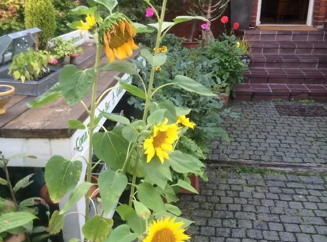 Haus Rothenstein, Ruhige Fewo, Ca. 10 Min. Zu Messe Und Flughafen Apartament